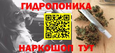 шишки Канаш