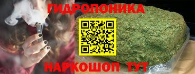 шишки Канаш