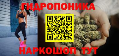 шишки Канаш