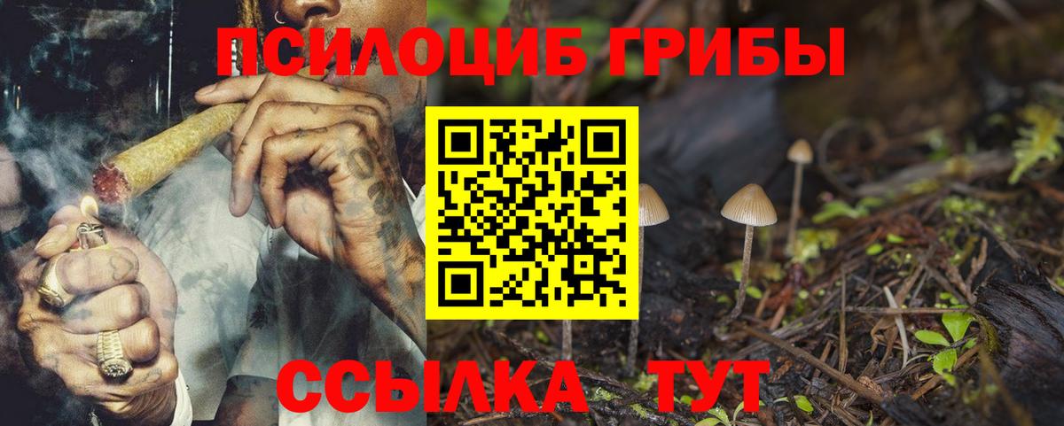Псилоцибиновые грибы MAGIC MUSHROOMS  Вход с VPN  Ленинск-Кузнецкий  Псилоцибиновые грибы мицелий 